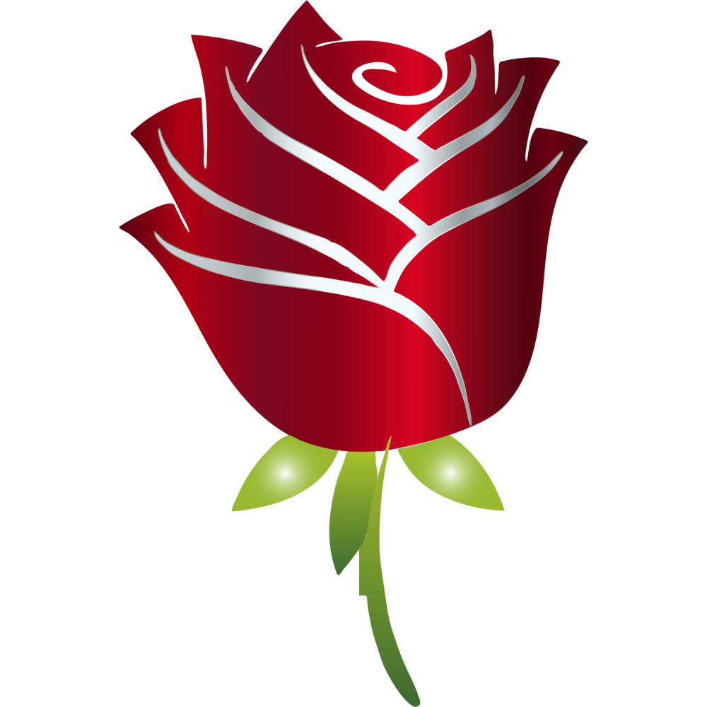 Esquema Punto de Cruz - Rosa Roja - Flor